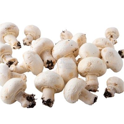 Шампиньоны свежие 500 г - купить в Латышовке